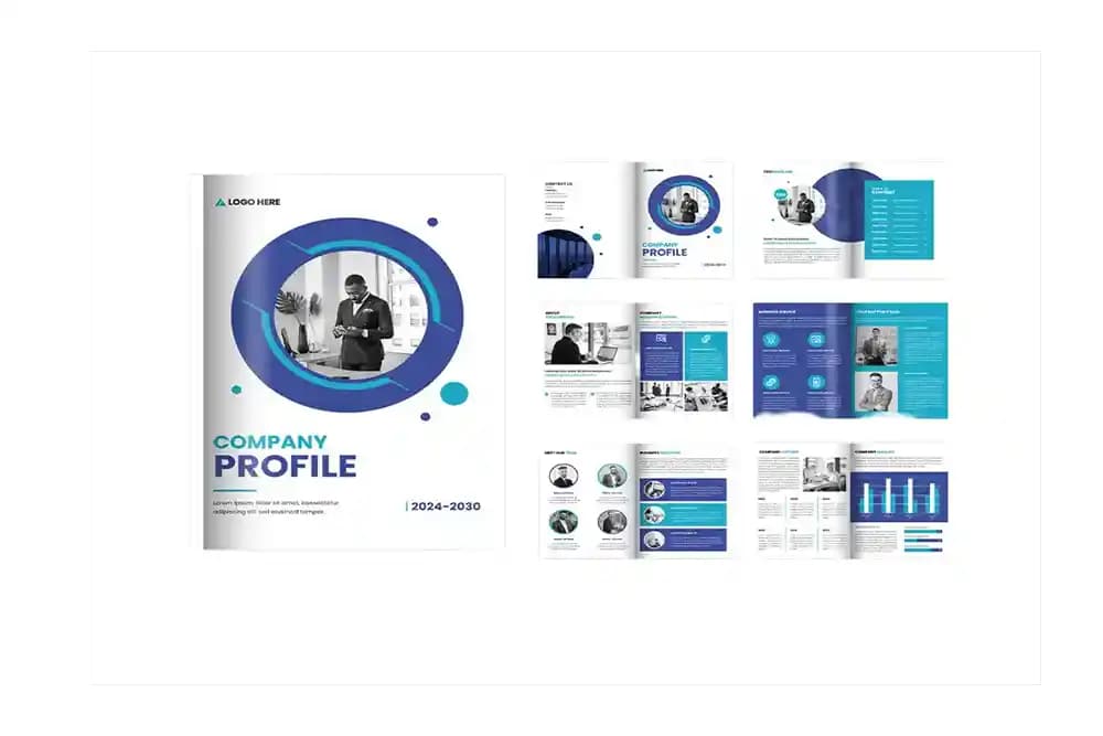Company Profile